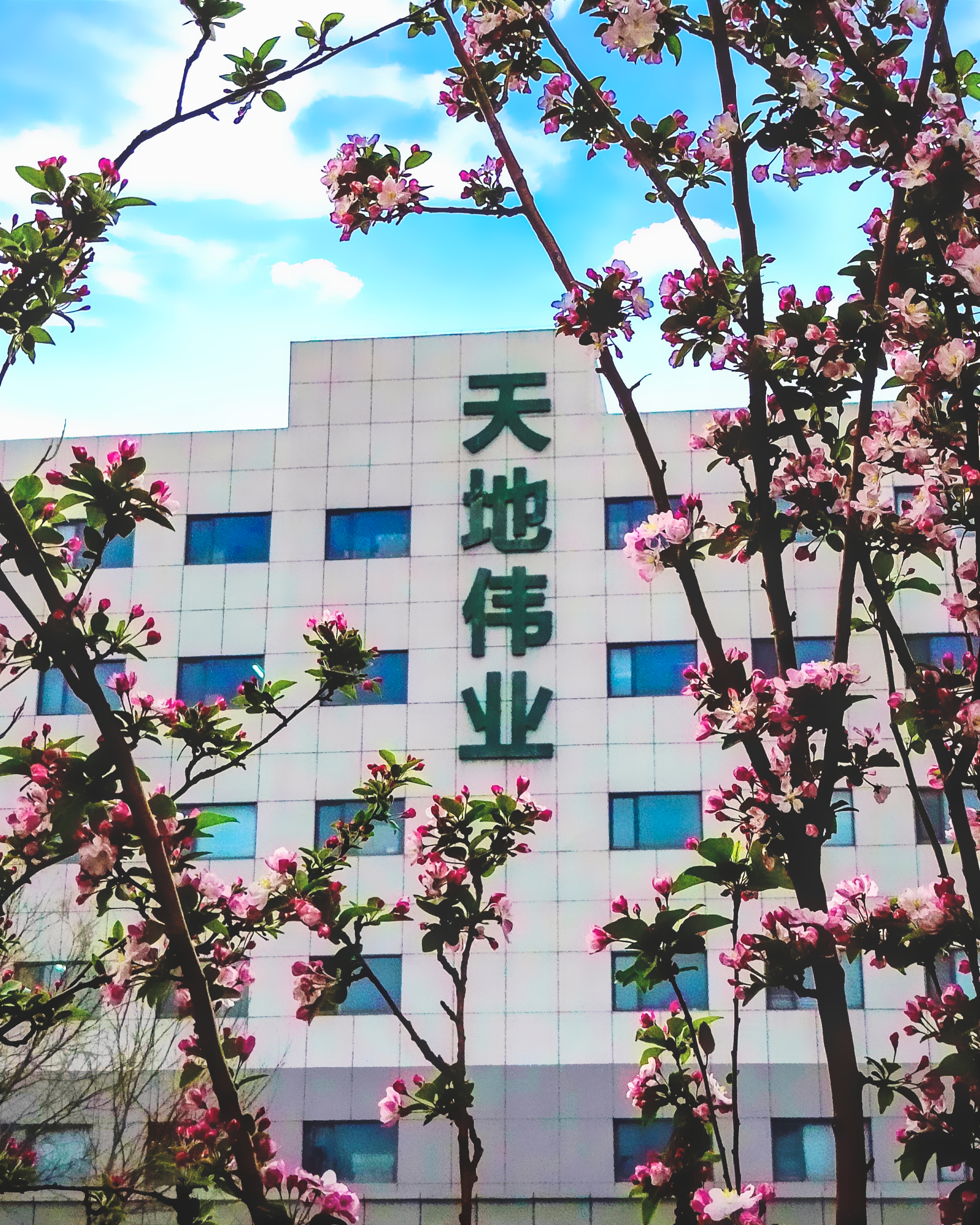 Z6·尊龙凯时「中国集团」官方网站