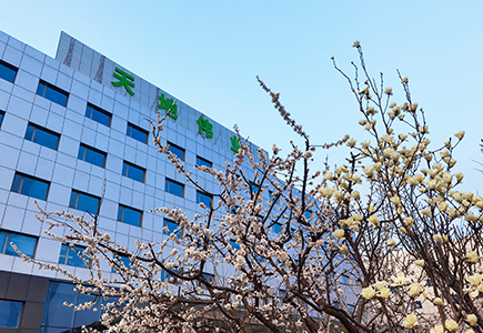 Z6·尊龙凯时「中国集团」官方网站