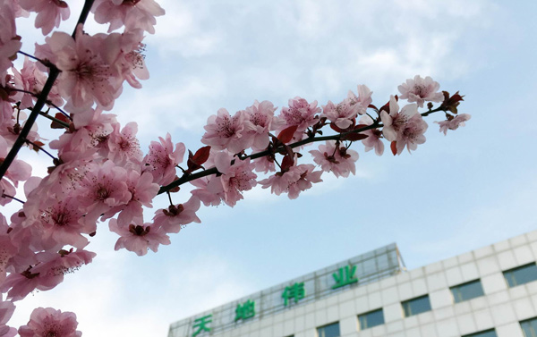 Z6·尊龙凯时「中国集团」官方网站