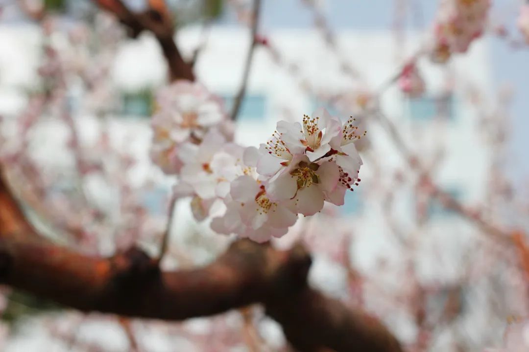 Z6·尊龙凯时「中国集团」官方网站