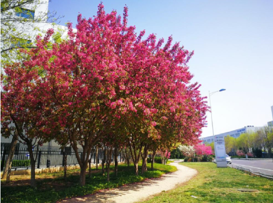 Z6·尊龙凯时「中国集团」官方网站