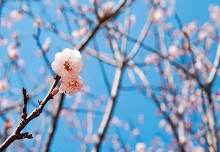 Z6·尊龙凯时「中国集团」官方网站